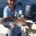 Fish Naples Florida